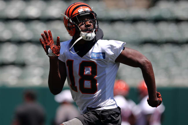 A.J. Green, National Football League, News, Scores, Highlights, Stats, and  Rumors