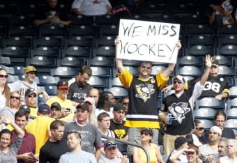 Pittsburgh Steelers and Penguins fans are a lot alike - Behind the Steel  Curtain