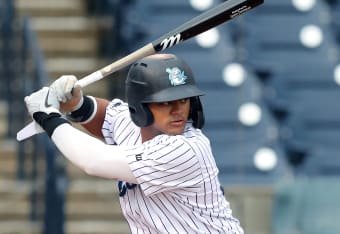 Jasson Dominguez hype grows as he achieves Yankees feat only Mickey Mantle  has done