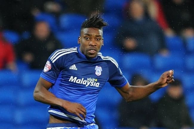 Sammy ameobi store