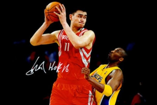 Yao ming deals stats