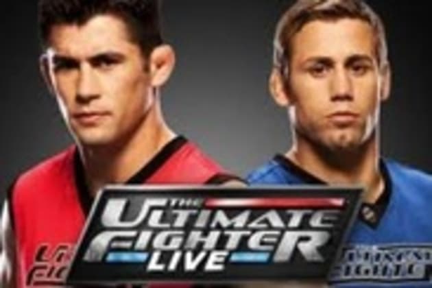 Who has won The Ultimate Fighter? Full list of winners, coaches from UFC  reality TV show