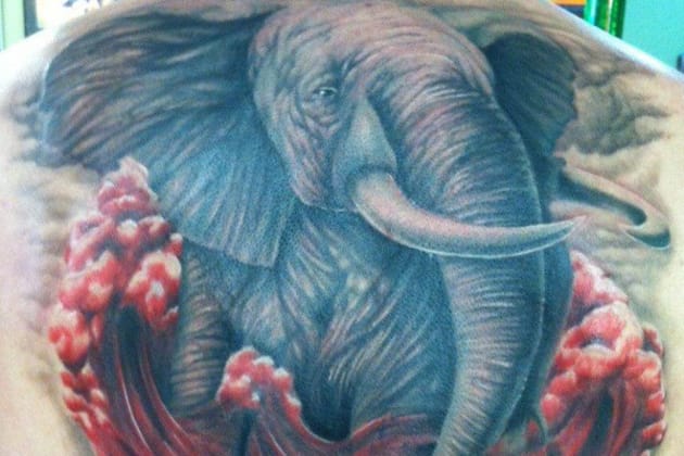 Alabama Crimson Tide Fan Tattoo: How Far Would You Go to Support Your Team?