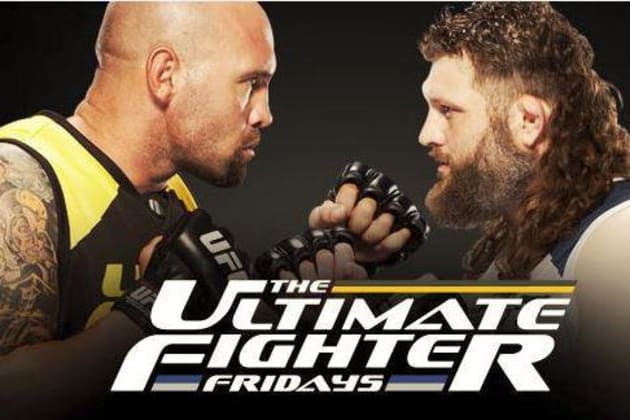 The Ultimate Fighter - latest news, breaking stories and comment - The  Independent