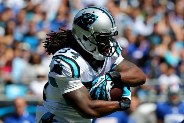 With DeAngelo Williams Shouldering Load, Panthers Must Trade Jonathan  Stewart, News, Scores, Highlights, Stats, and Rumors