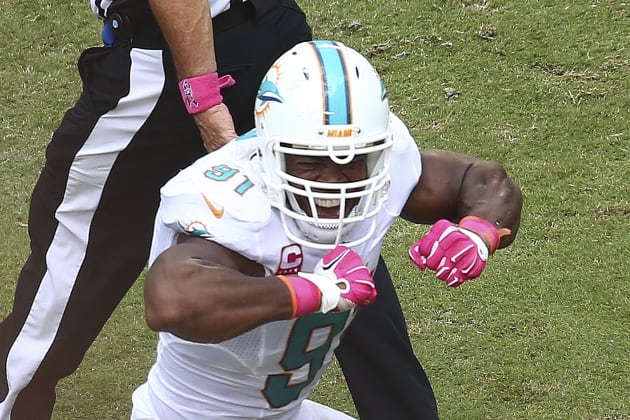 Cameron Wake, Dolphins expect even more out of defense in 2013