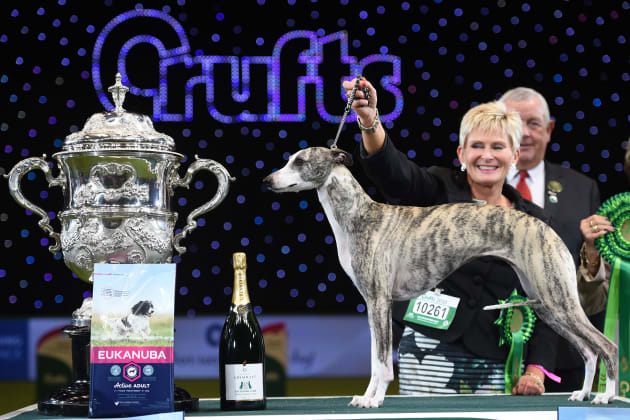 Best in show crufts 2018 online