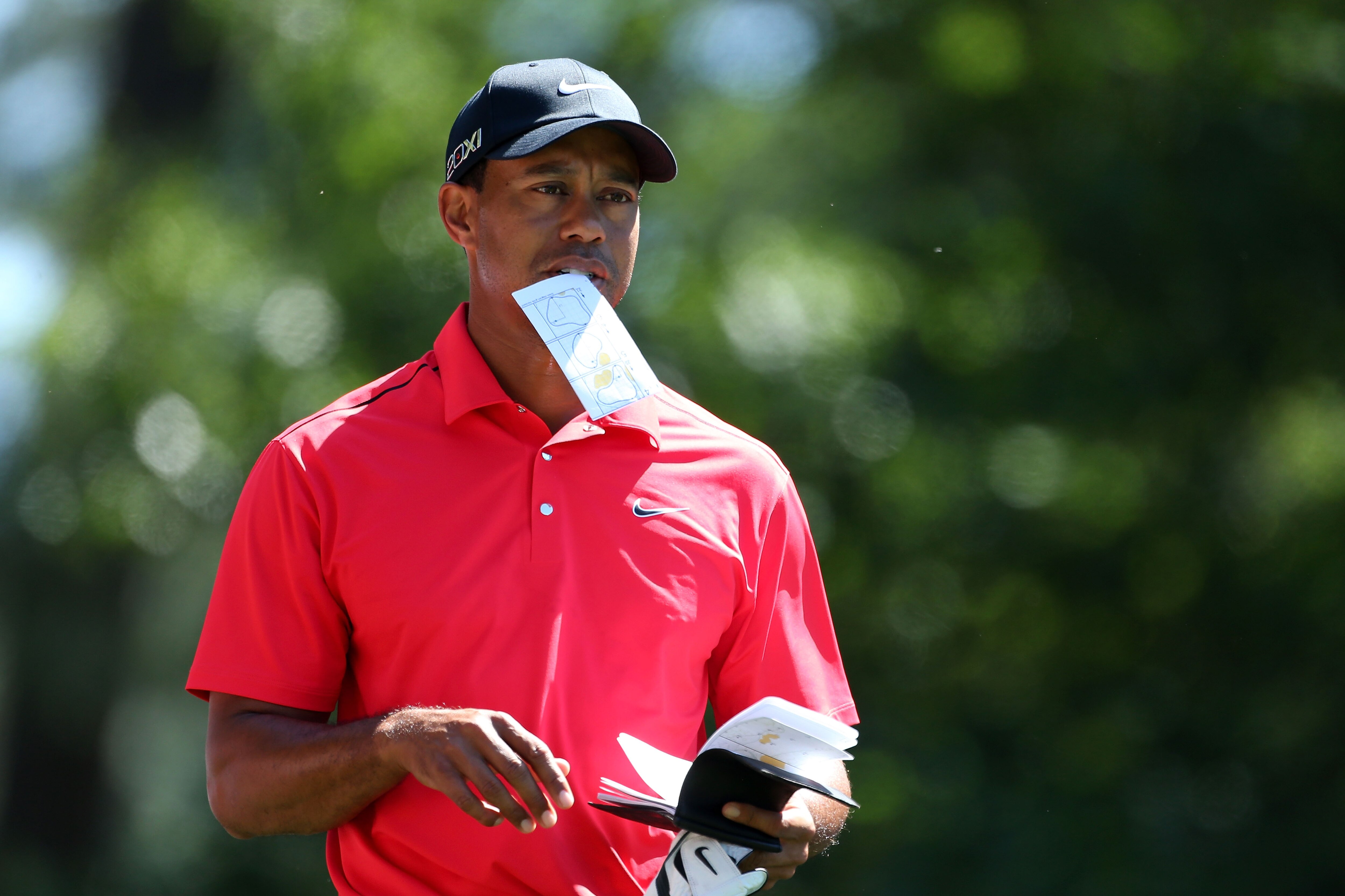 Tiger Woods Rush Limbaugh S Words Ring True About Former Golf Star Bleacher Report Latest News Videos And Highlights