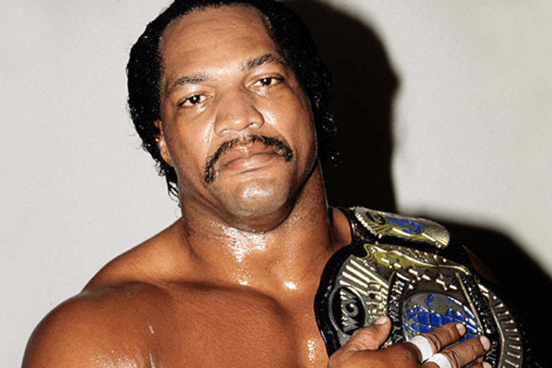 Ron_Simmons_Bio_0001_crop_north.png