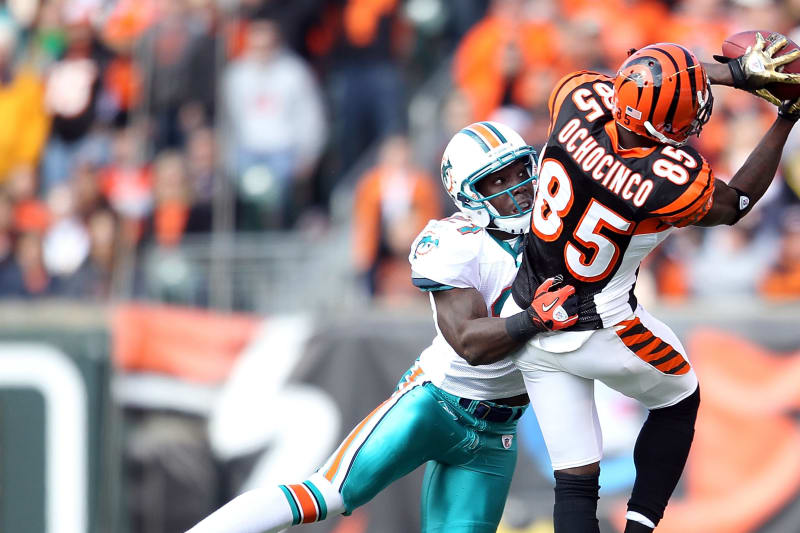 chad johnson dolphins jersey