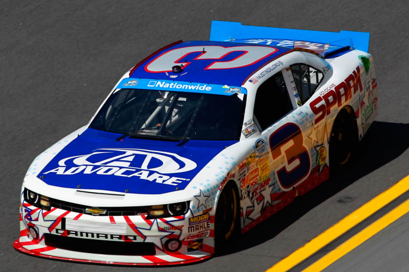 number 3 nascar driver