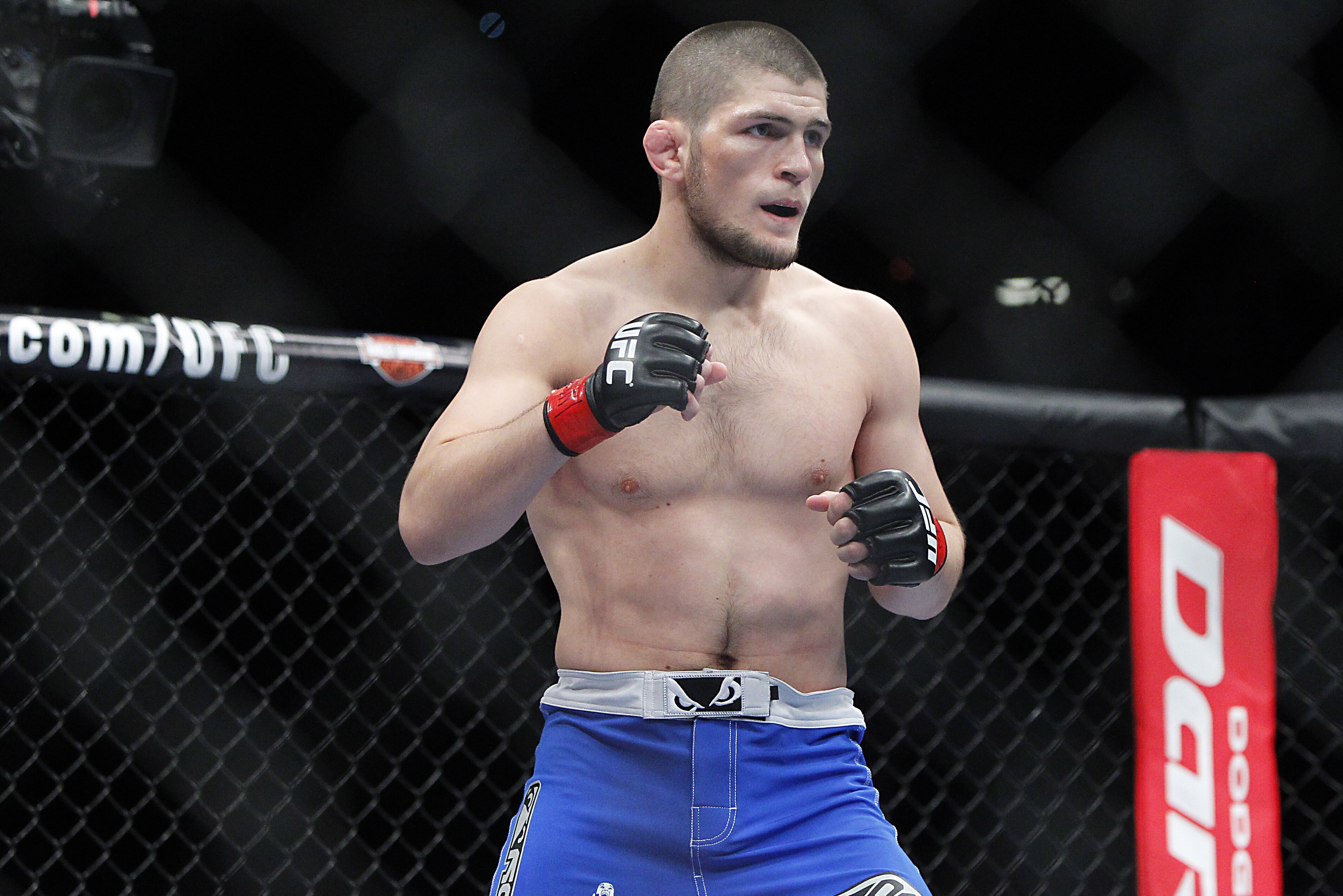 Manager Khabib Nurmagomedov Wants Rafael Dos Anjos With Win Over Pat Healy Bleacher Report Latest News Videos And Highlights