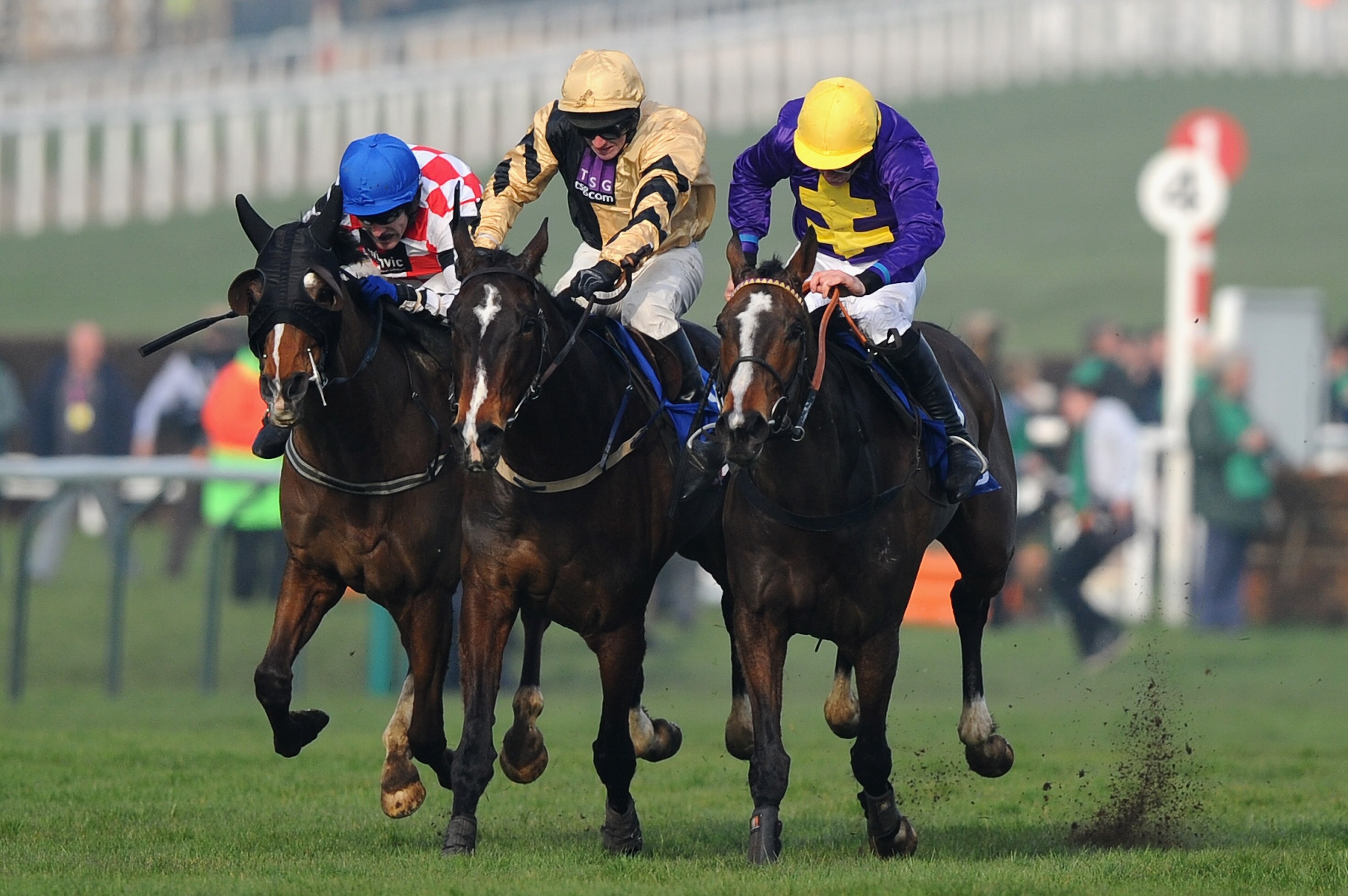 cheltenham festival 2015 dates race schedule betting tips odds and preview bleacher report latest news videos and highlights
