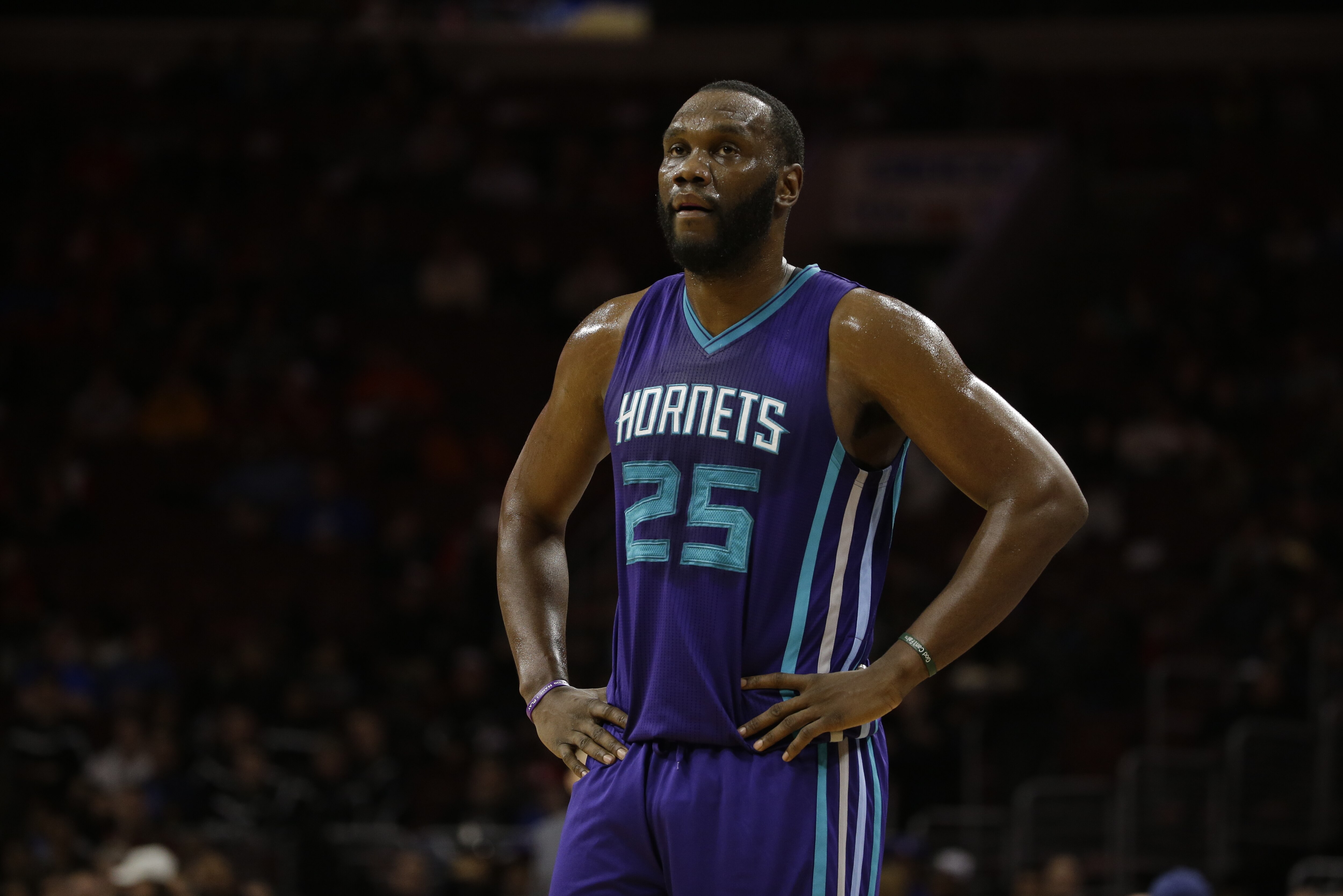 al jefferson hornets jersey