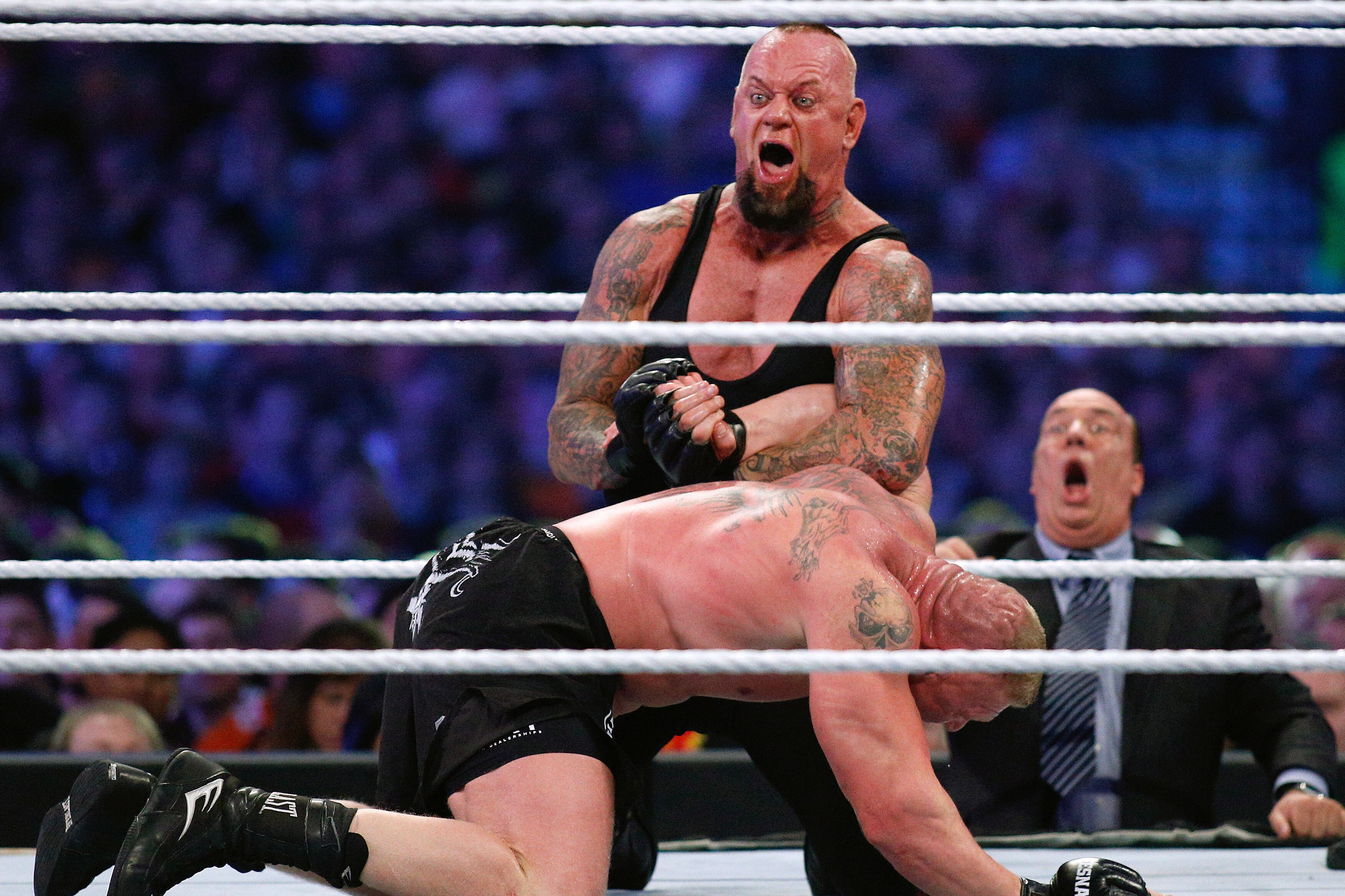 Undertaker Vs Brock Lesnar Announced For Wwe Summerslam 2015 Ppv Bleacher Report Latest News Videos And Highlights The miz roman reigns & dean ambrose vs. undertaker vs brock lesnar announced
