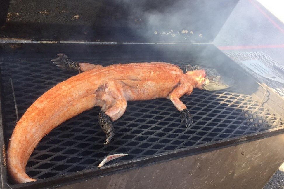 Lsu Fans Grill Whole Alligators Ahead Of Game Against Florida Gators Bleacher Report Latest News Videos And Highlights