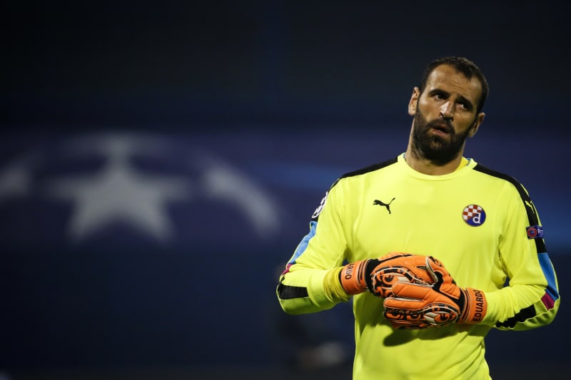 chelsea dinamo