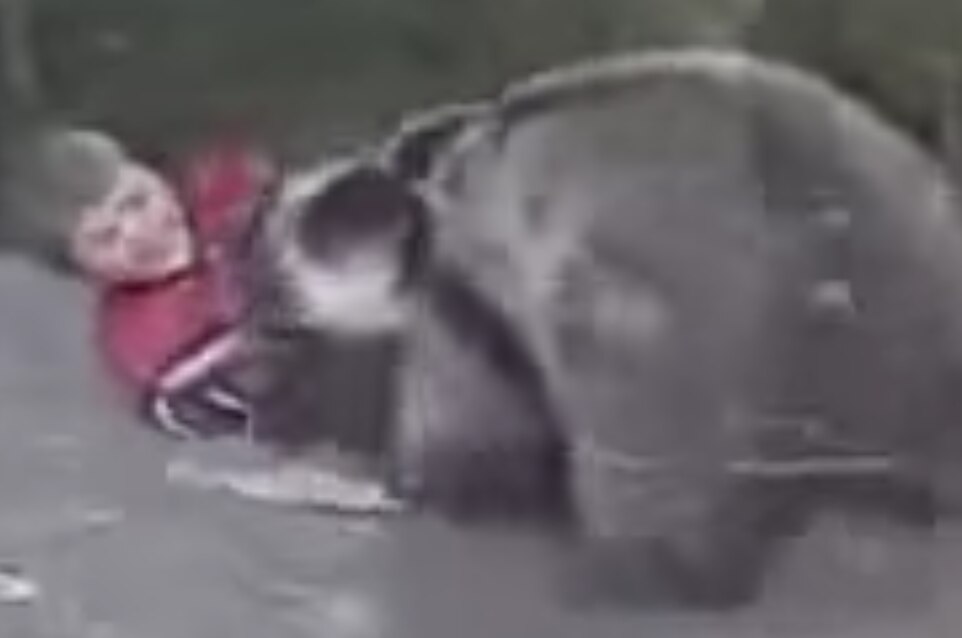 That Time A Young Khabib Nurmagomedov Wrestled A Bear Bleacher Report Latest News Videos And Highlights