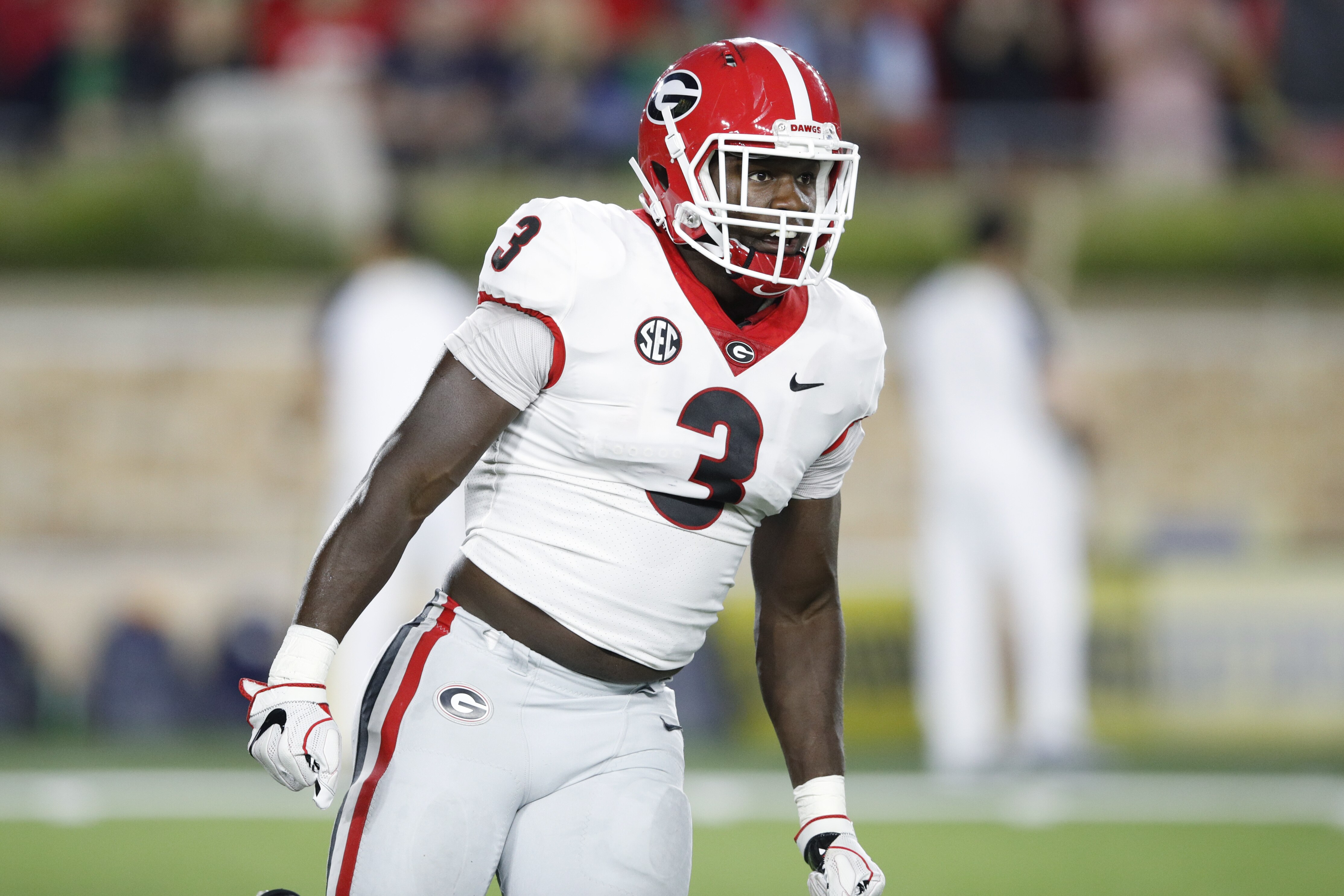 roquan smith georgia jersey