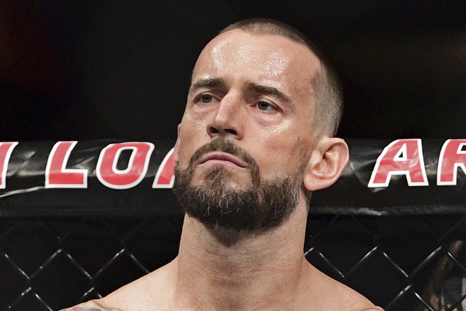 Cm Punk Would Listen To Possible Wrestling Return Won T Fight Logan Paul Bleacher Report Latest News Videos And Highlights Courtesy of zuffa, ufc 225, wwe cm punk debut vs mickey gall full fight phil brooks 203 evolution returns wwe 2016 2017. fight logan paul bleacher report