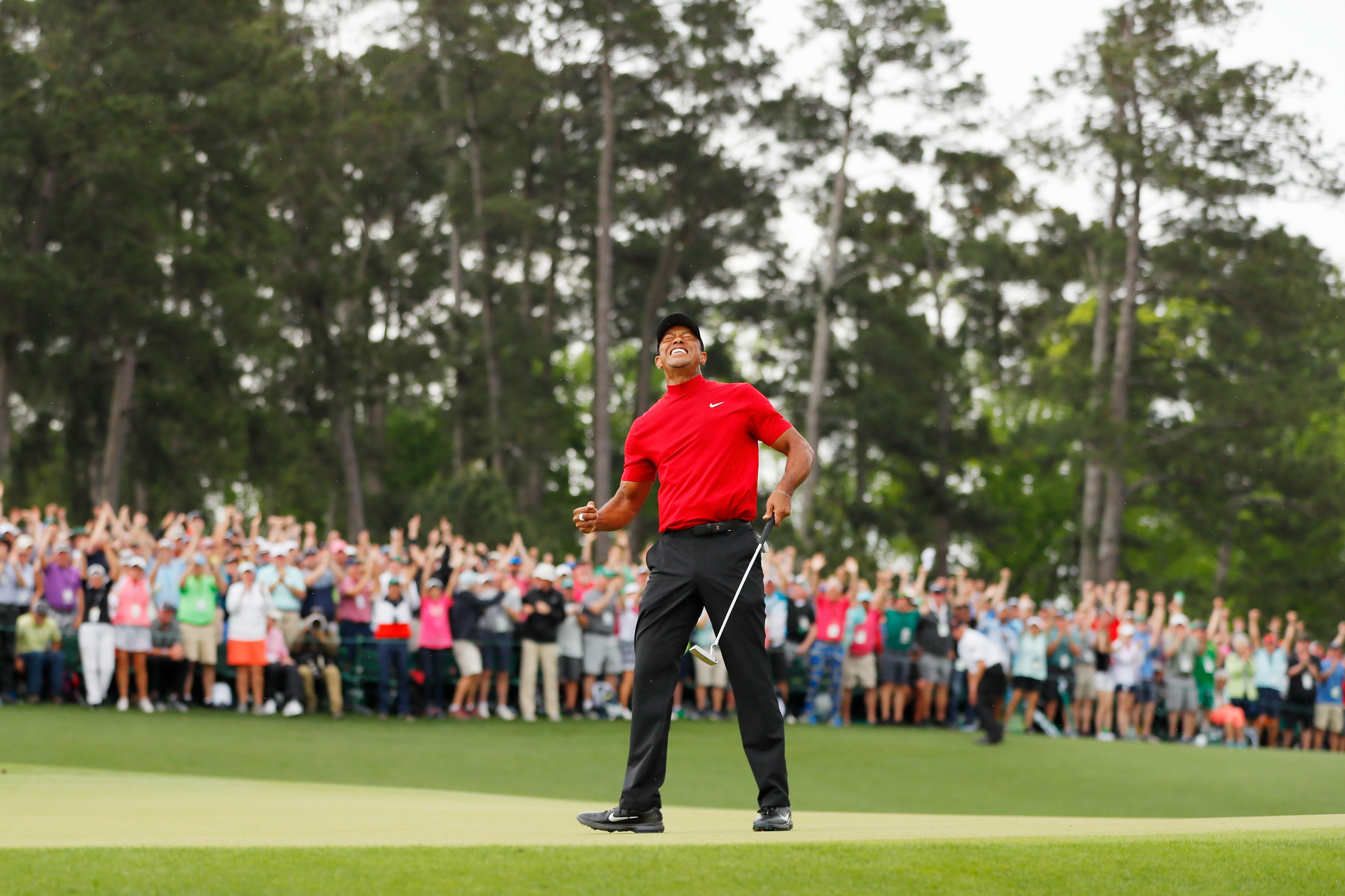 watch tiger woods win
