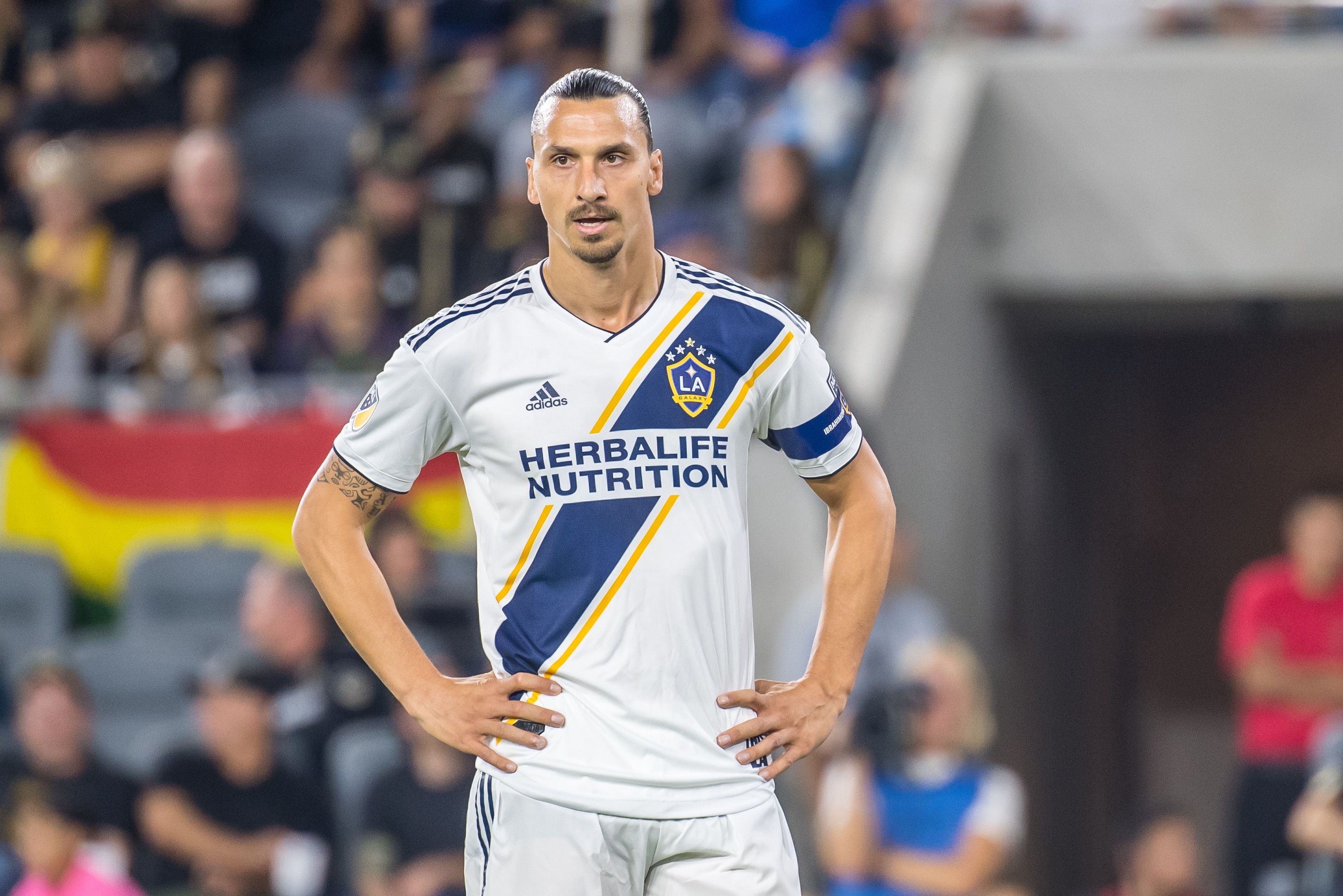 Jurgen Klopp Explains Why Liverpool Won T Sign Zlatan Ibrahimovic Bleacher Report Latest News Videos And Highlights