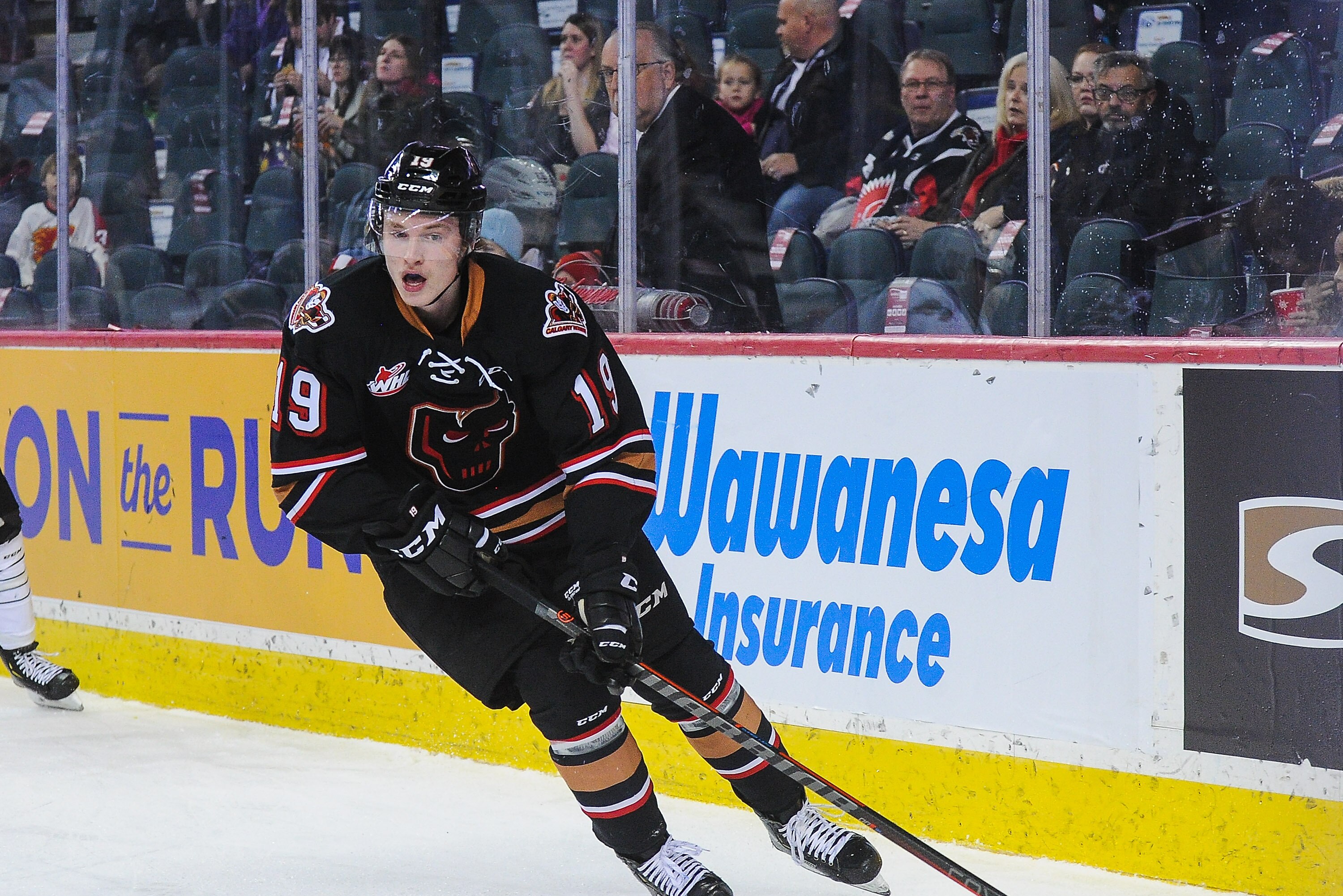 hitmen teddy bear toss game 2018