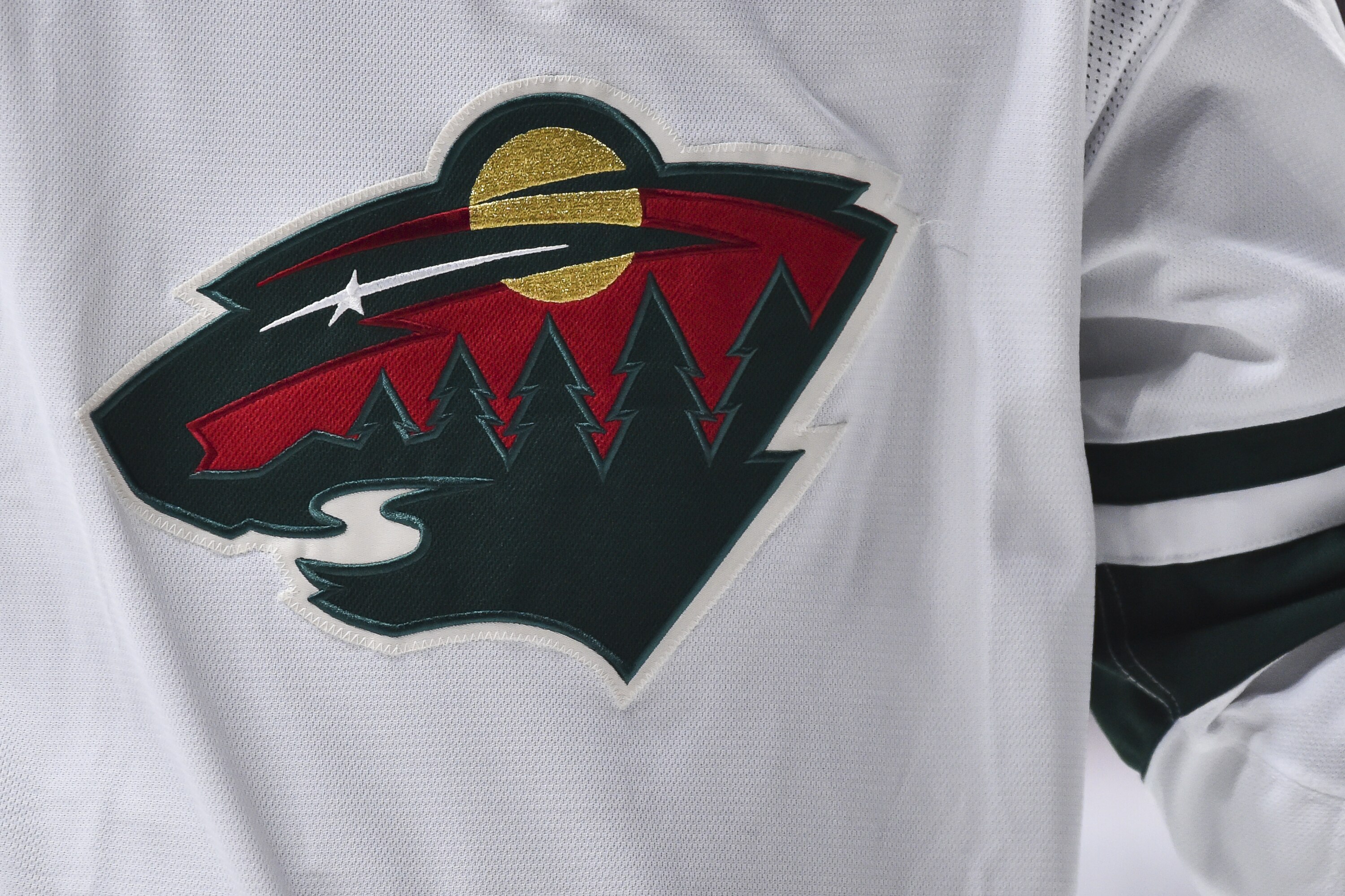 wild winter classic jersey