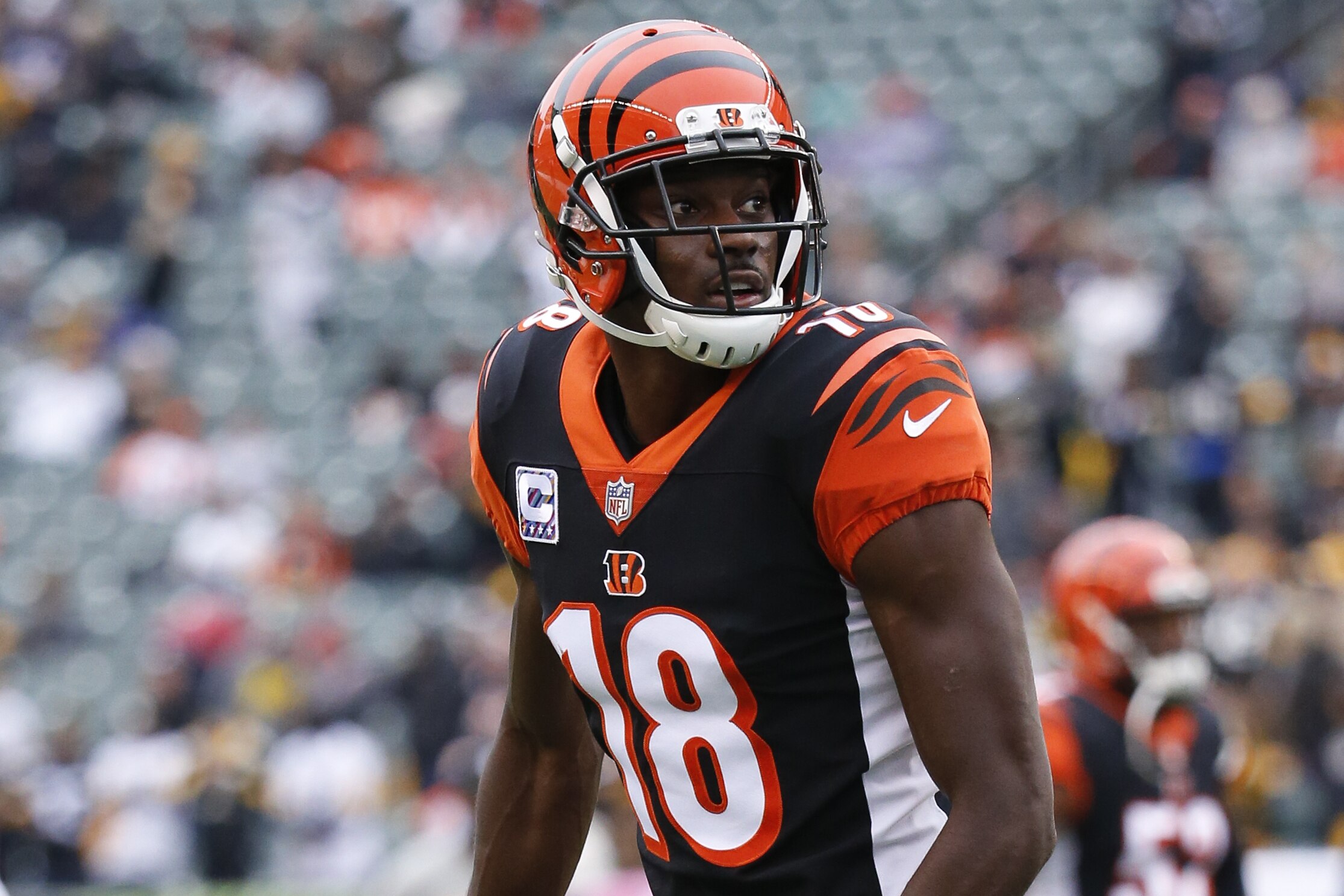 Cincinnati bengals official website site Cincinnati bengals official website site