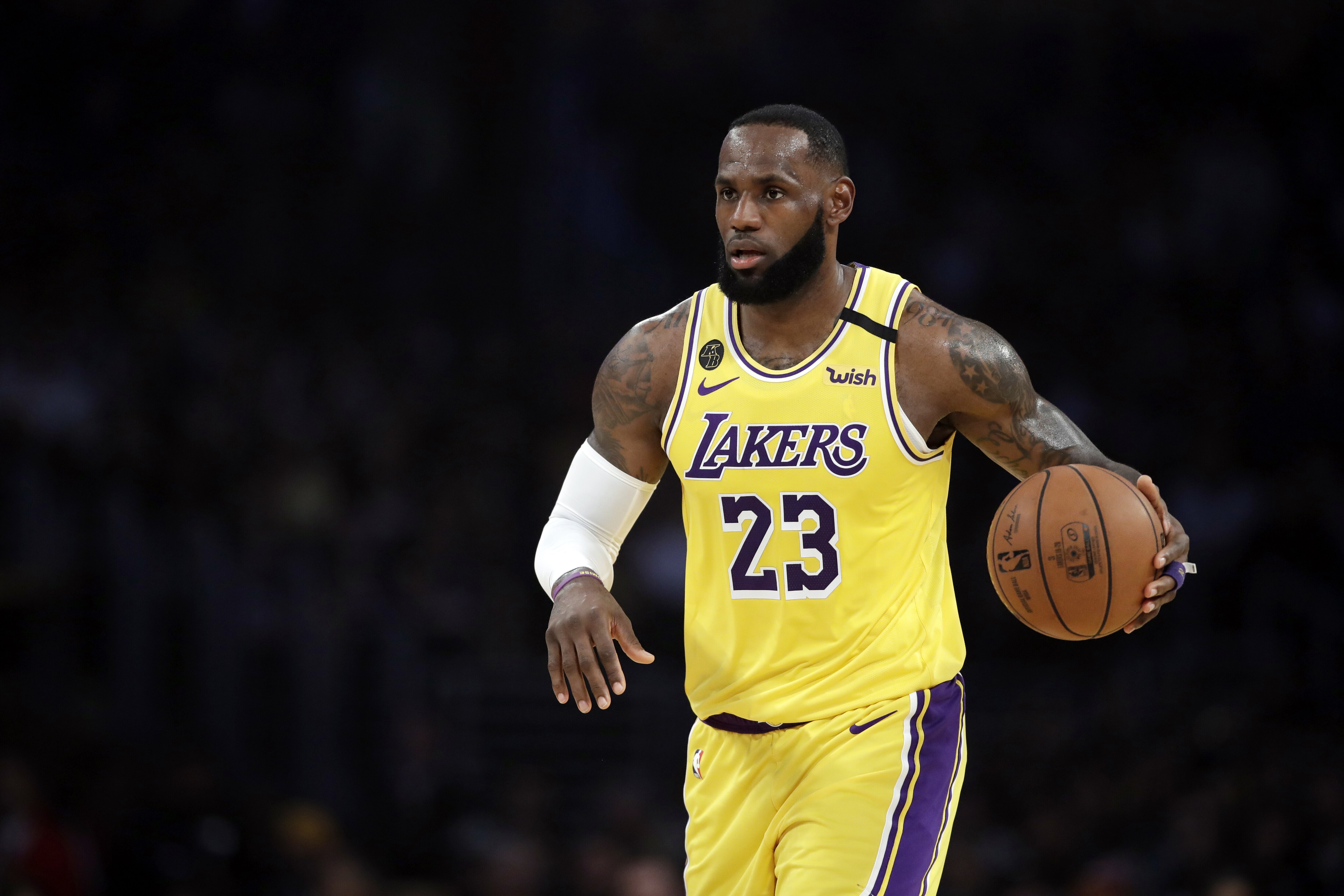 nba lakers james