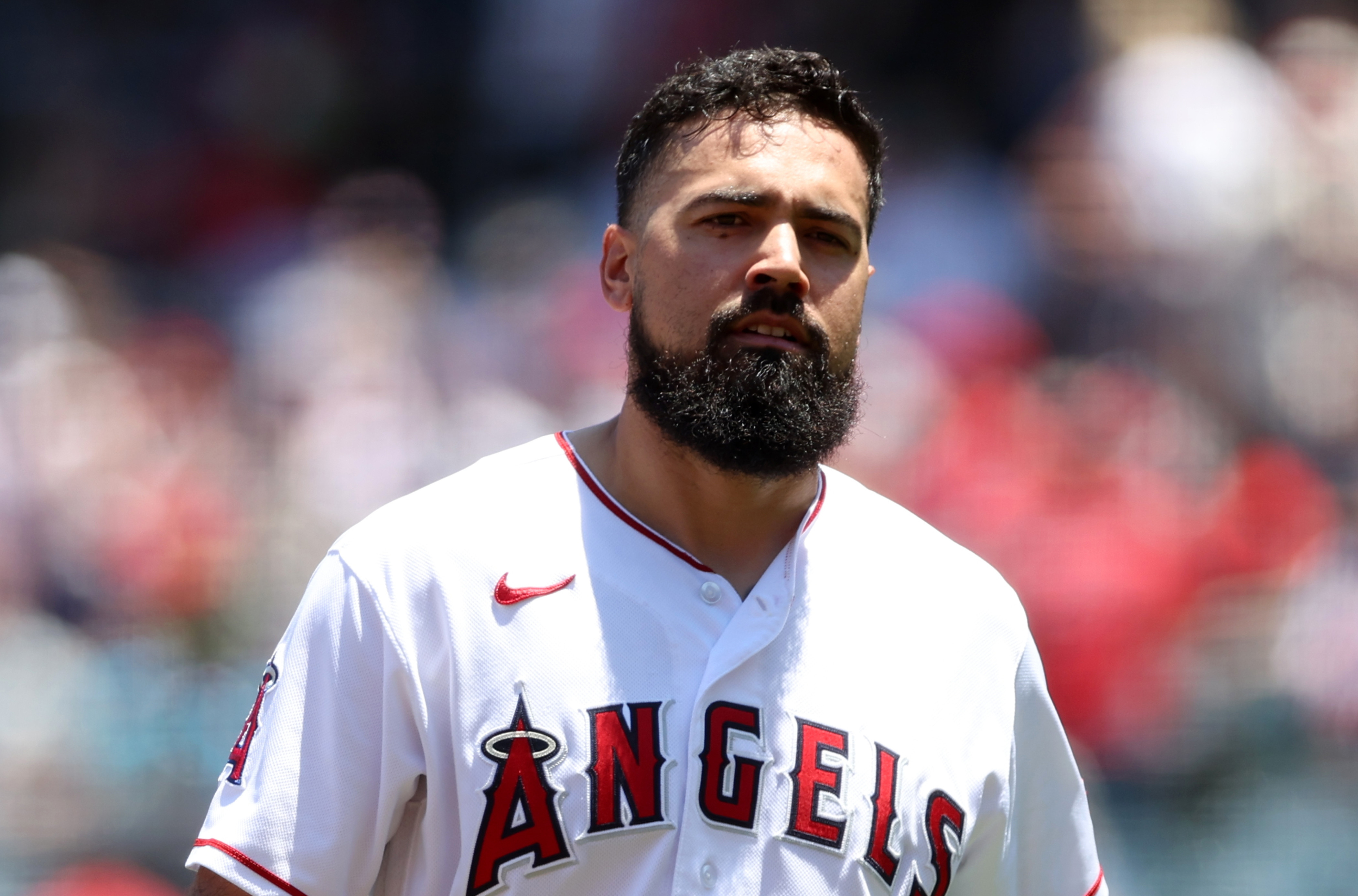 Anthony Rendon fan altercation: What to know after Angels 3B