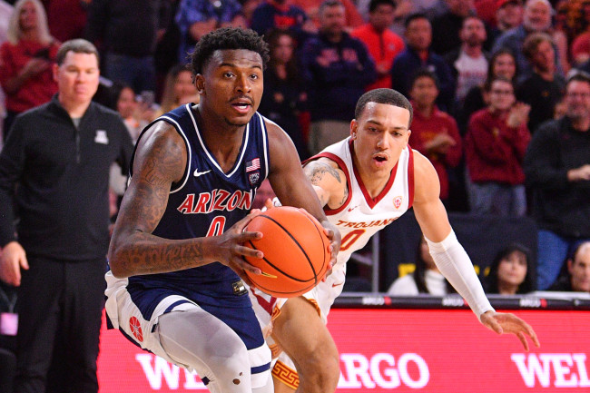 Arizona wildcats hotsell basketball