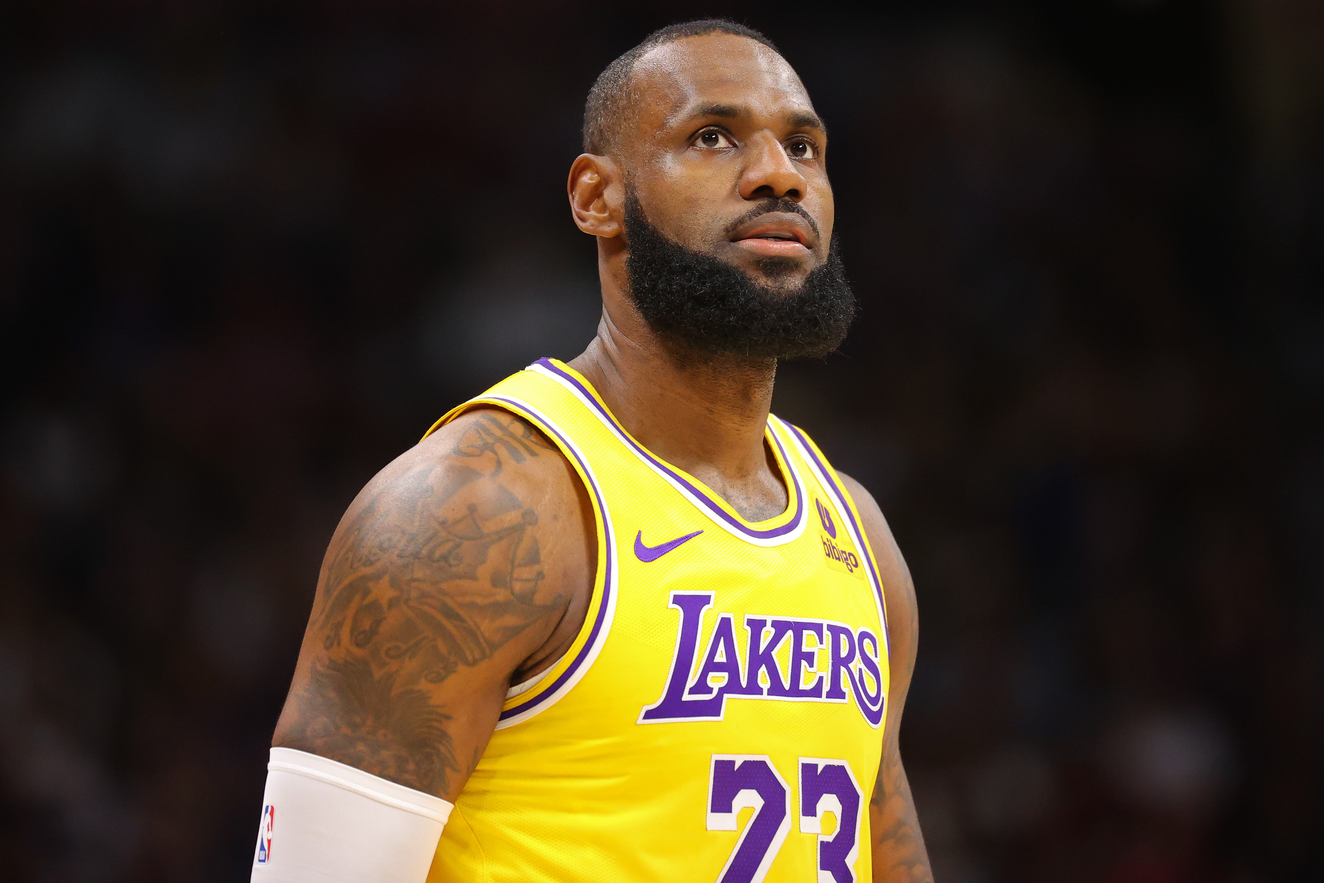 Heads up, looks like LeBron Mamba jerseys are available via Nike. : r/lakers