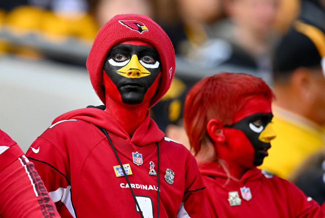 Glimpse Ahead to the Cardinals' 2024 Season Part III - Revenge of the Birds