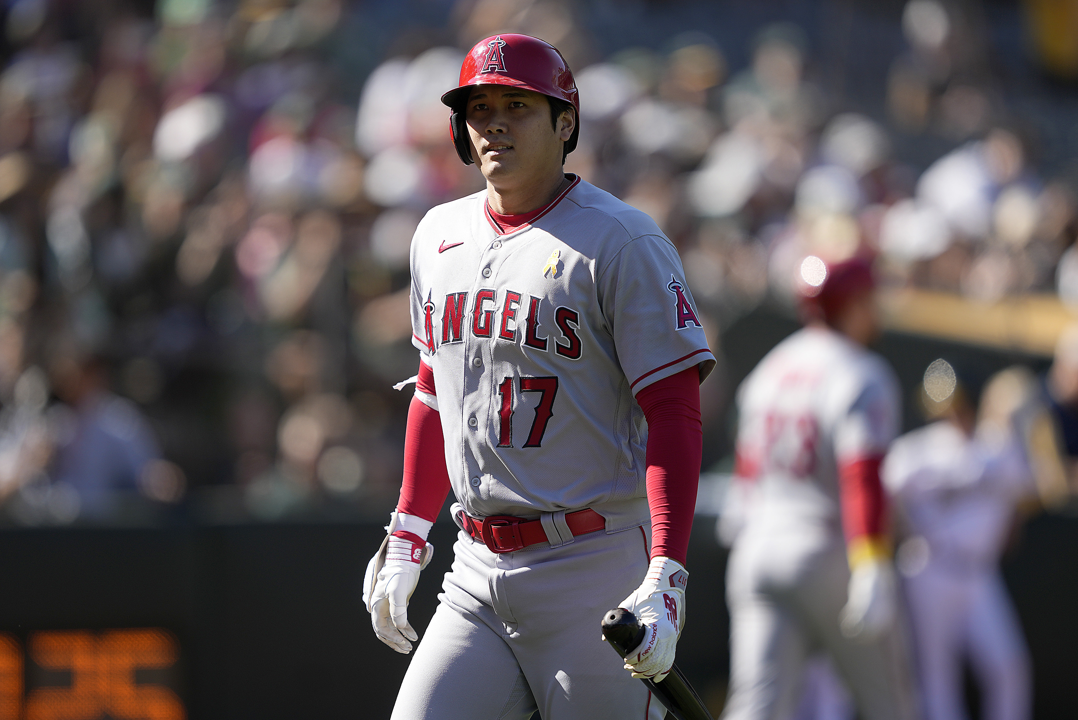 Shohei Ohtani Joins Mike Trout in Perfect Spot to Maximize 2-Way MLB  Stardom, News, Scores, Highlights, Stats, and Rumors