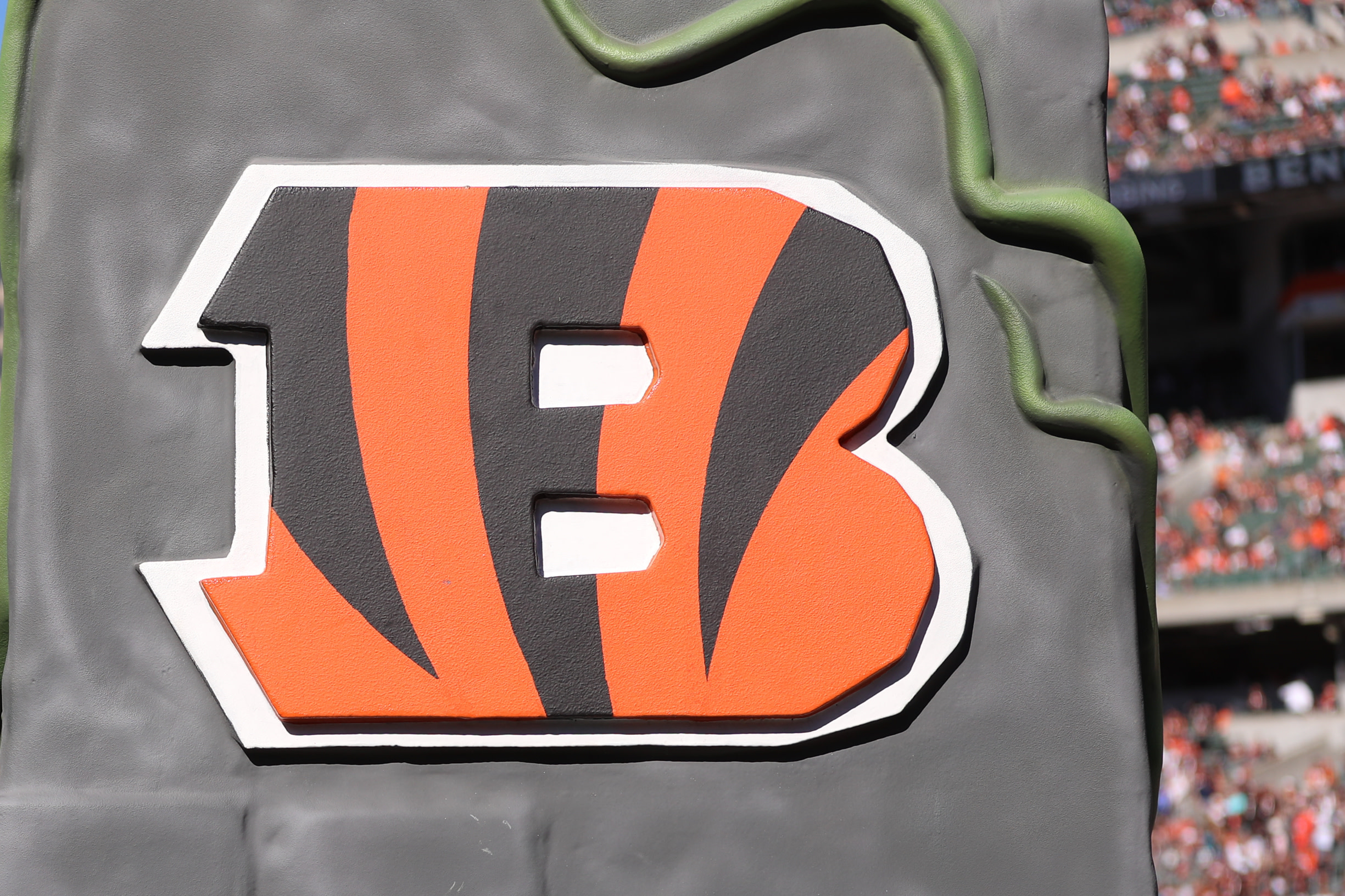 Bengals' flight home had failing engine, diverted in order to switch planes