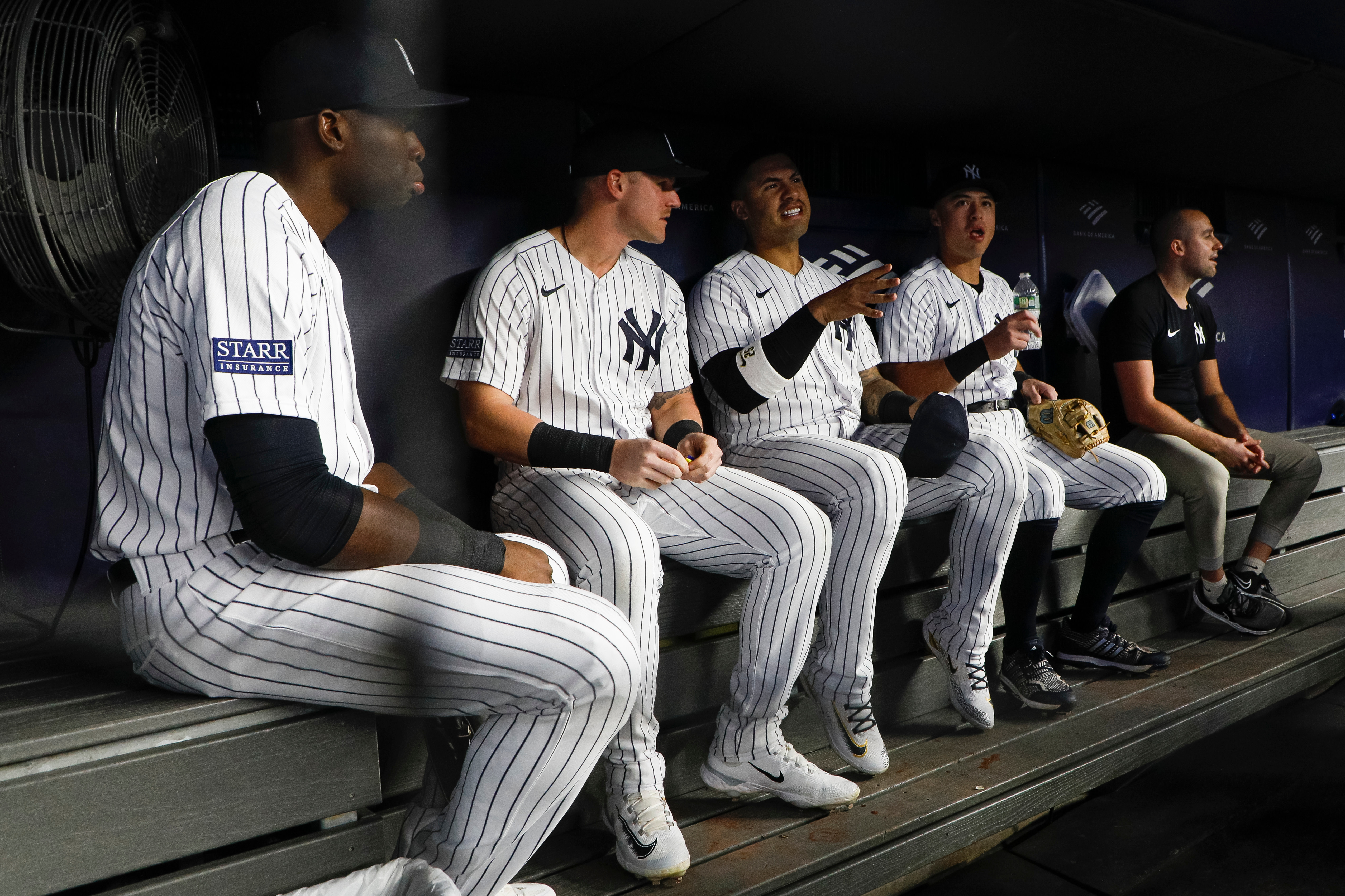 The weirdest items in the Yankees' team store - Pinstripe Alley