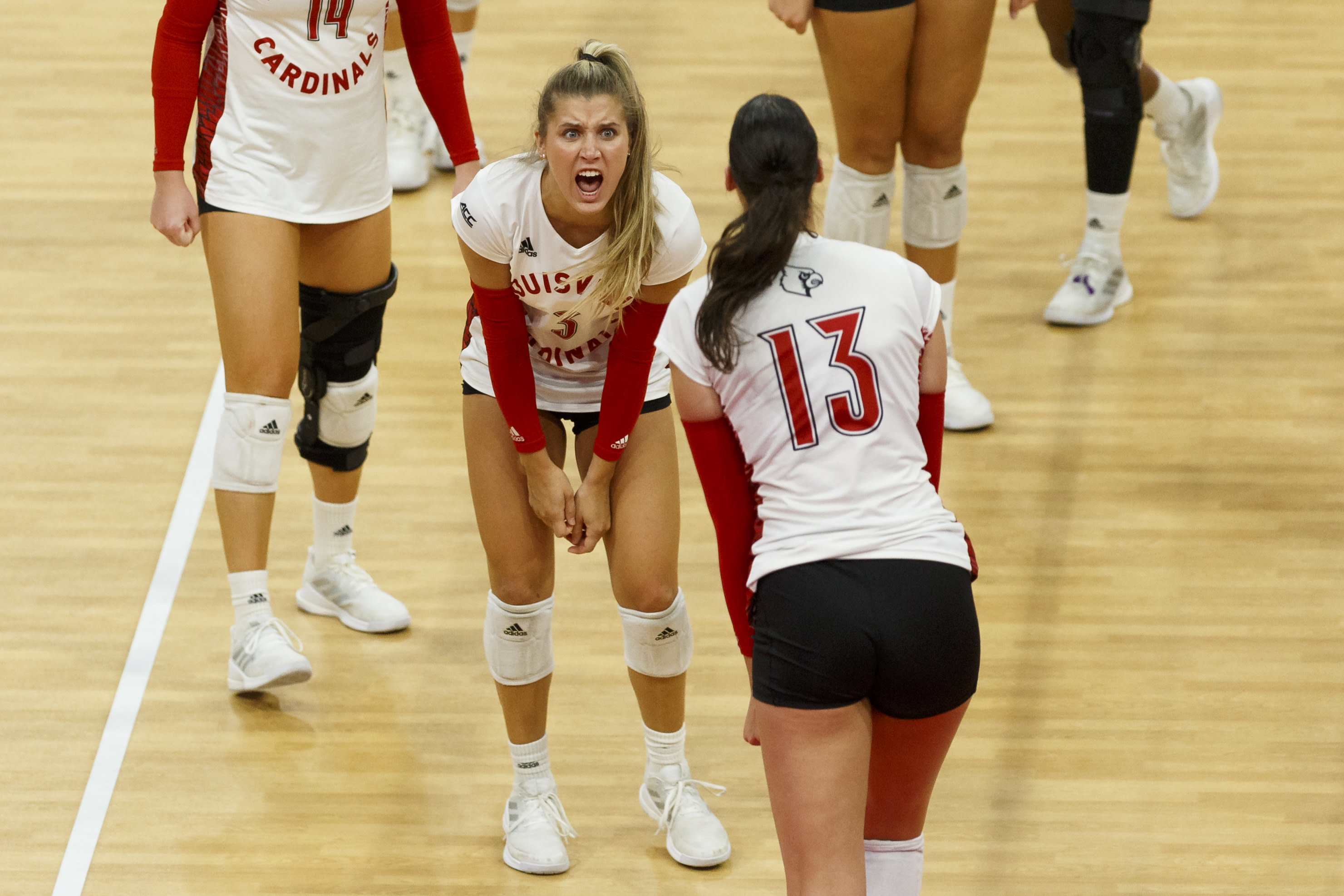 No. 2 UofL volleyball takes down in-state rival No. 21 UK at home