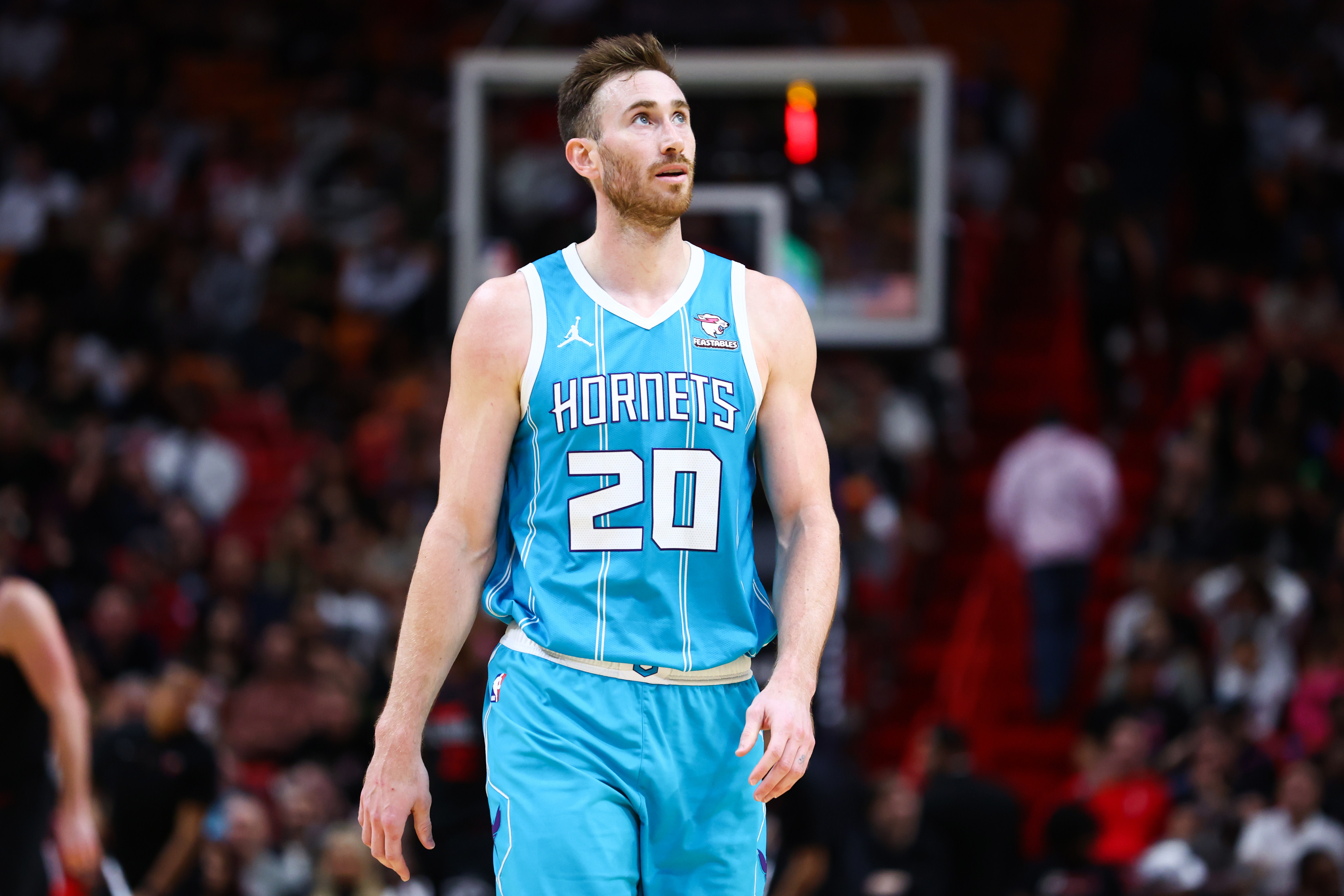 Gordon Hayward injury update: Hornets SF downgraded to doubtful Thursday  vs. Raptors - DraftKings Network