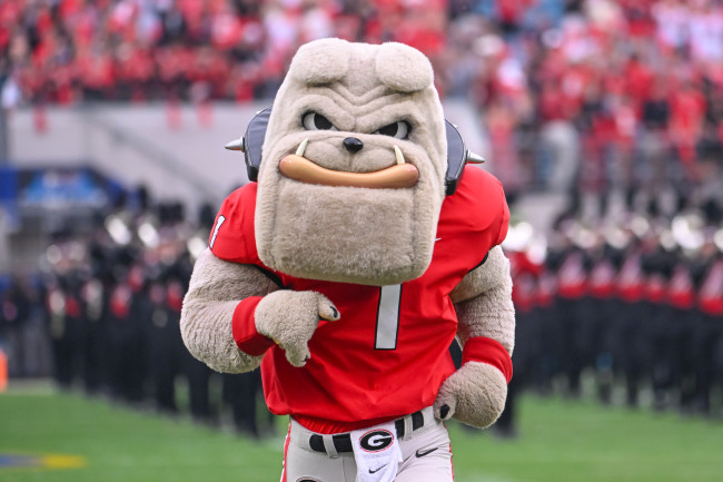 Bulldogs-Zips Sunday Game Rained Out - University of Georgia Athletics