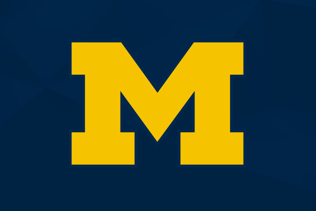 Michigan wolverines sales