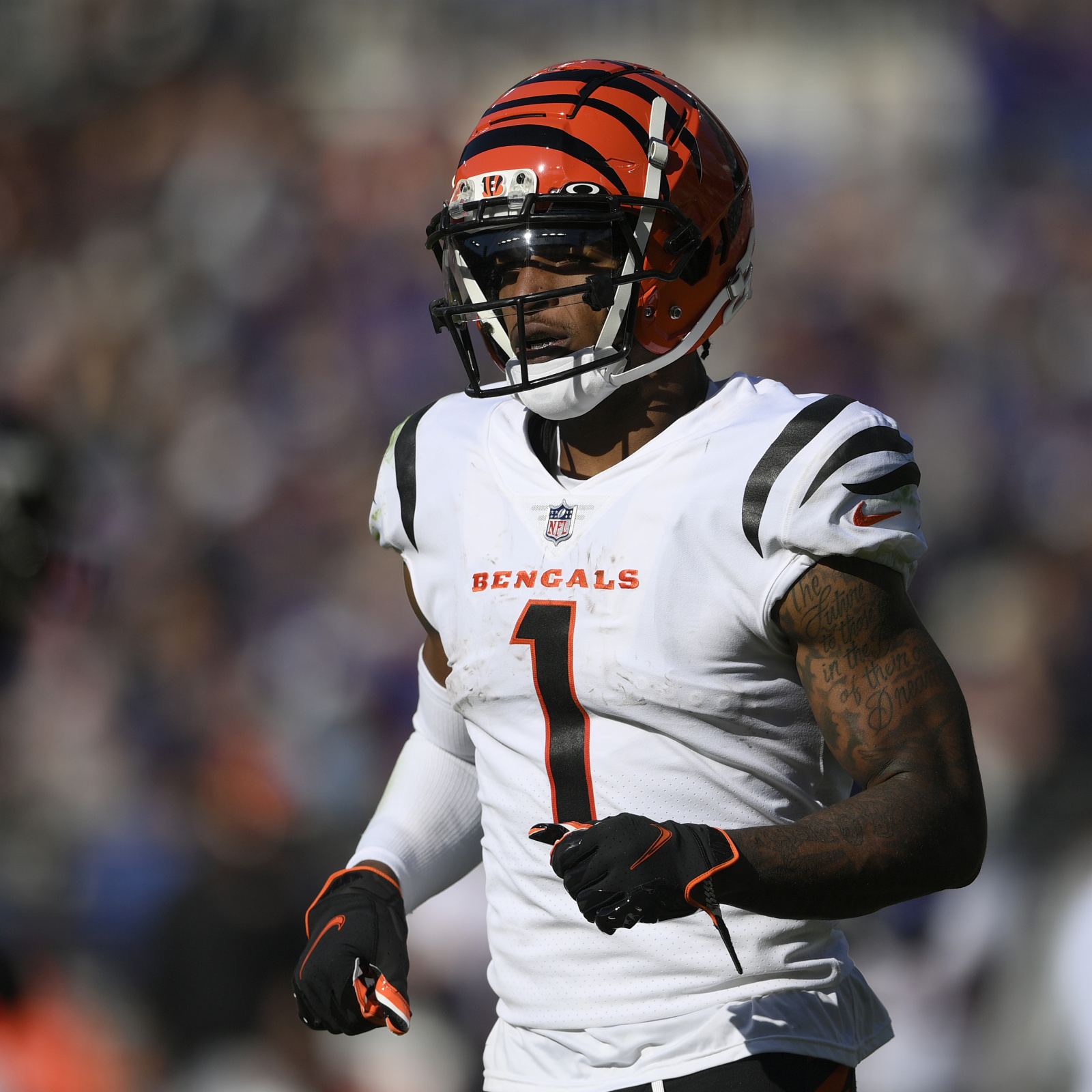 Bengals Finally Banish Super Bowl Hangover and Look Like Genuine