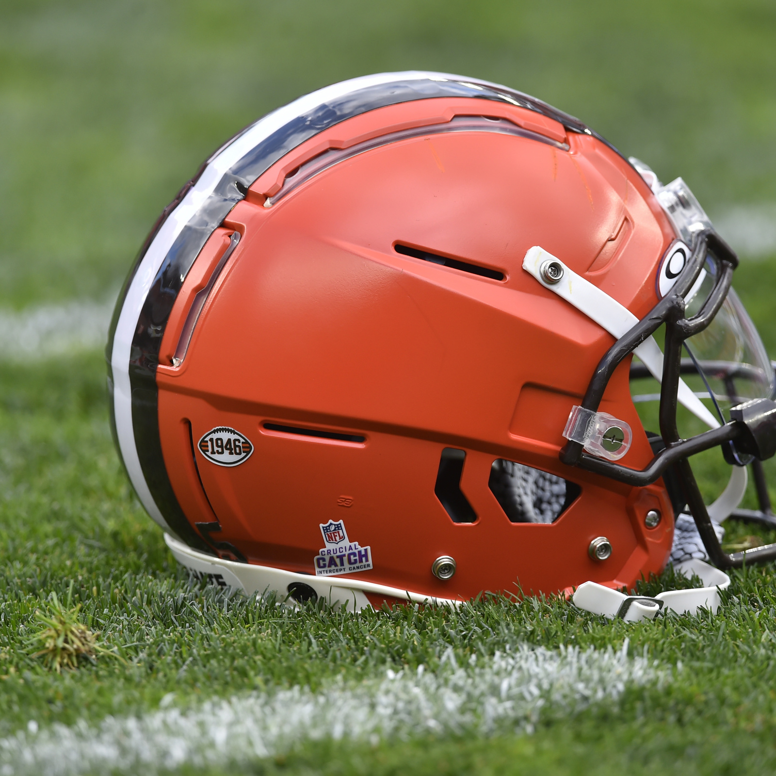 NFL Week 15 Odds & Lines: Baltimore Ravens Vs. Cleveland Browns – Forbes  Betting