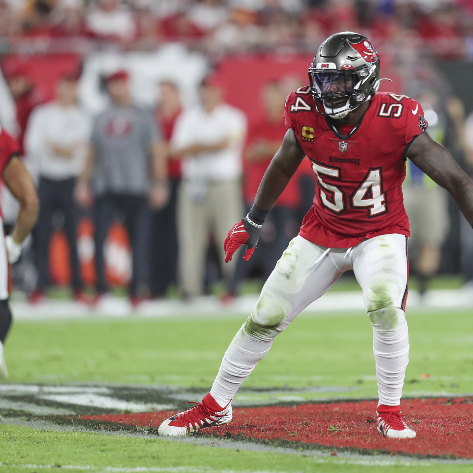 Lavonte David's 2019 Year in Review