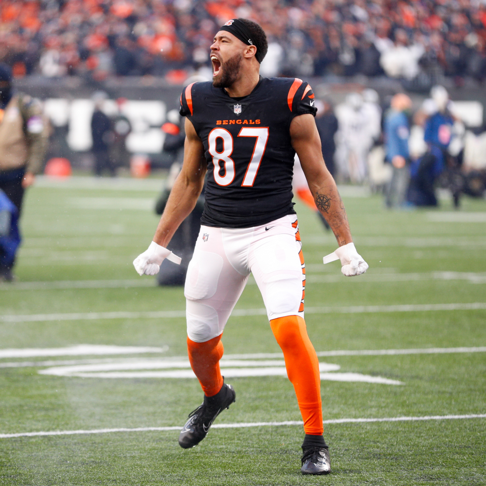 Breaking News: Bengals Tight End Drew Sample Out With Knee Injury