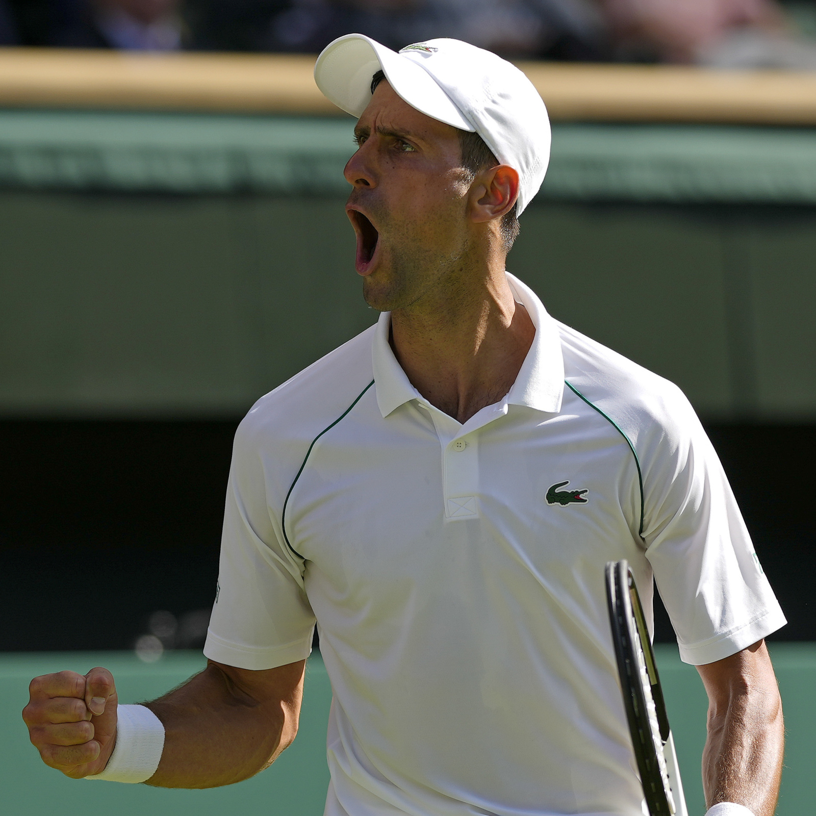 Novak Djokovic Beats Cameron Norrie; Will Play Nick Kyrgios in Wimbledon Mens Final News, Scores, Highlights, Stats, and Rumors Bleacher Report