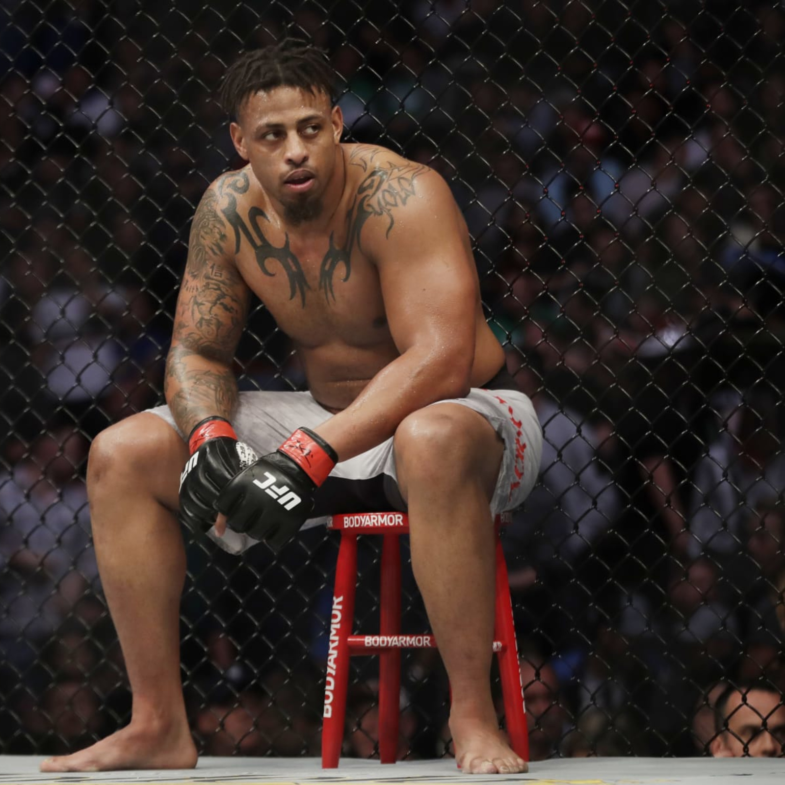 Ex-NFL DE Greg Hardy KOs Mike Cook in Boxing Debut in 1st Fight Since UFC  Exit, News, Scores, Highlights, Stats, and Rumors