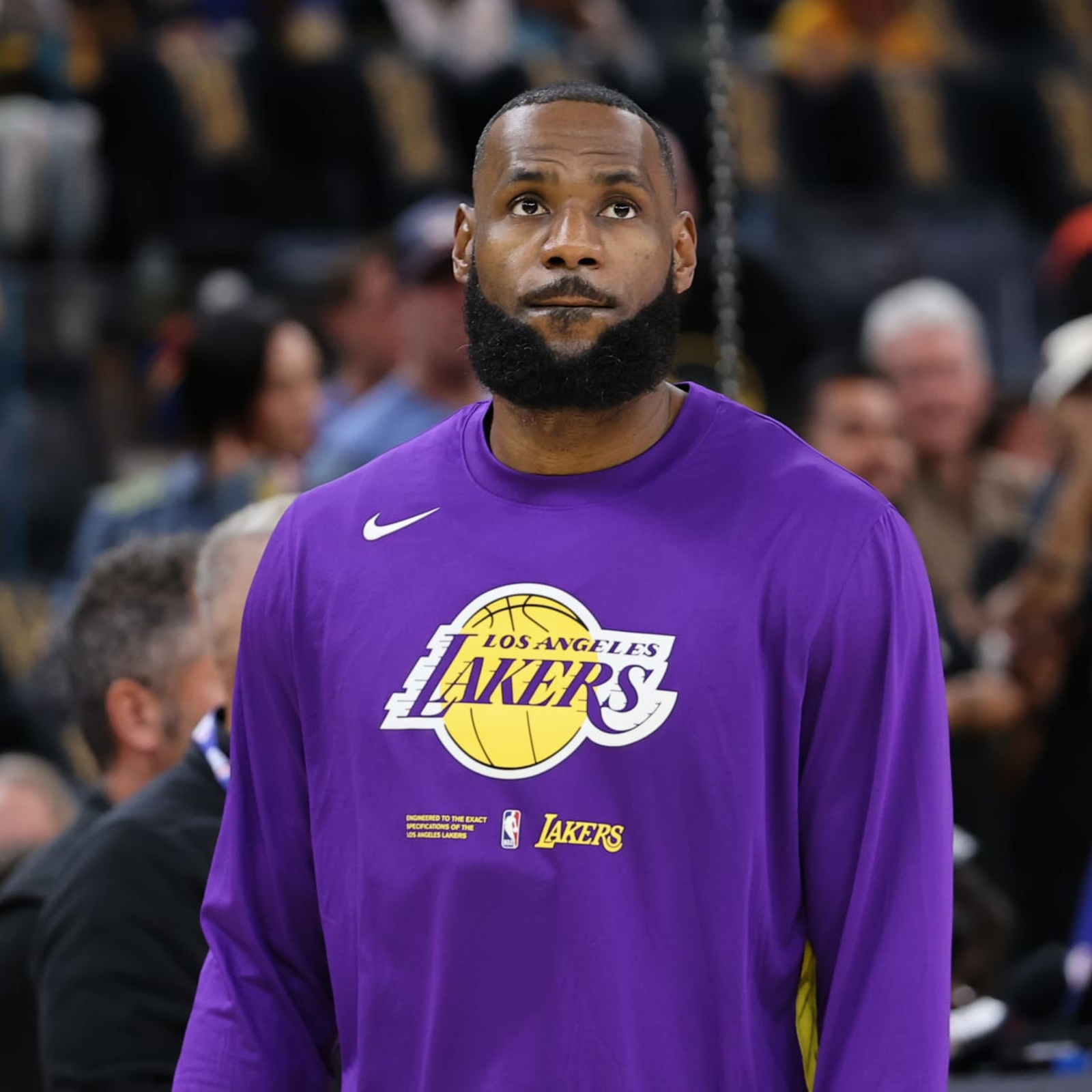 LeBron James Says Lakers Are 'Not a Team Constructed of Great