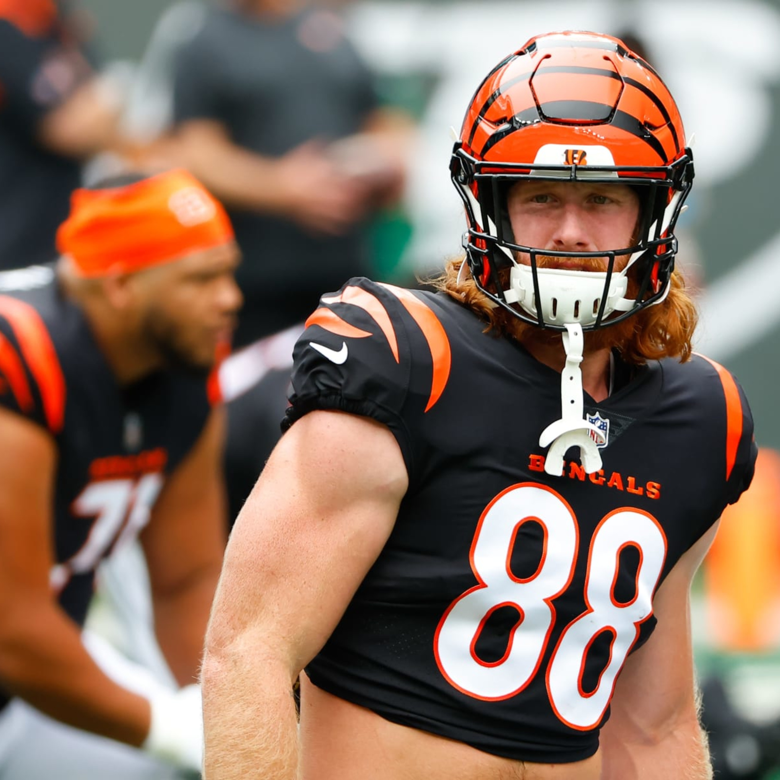 Cincinnati Bengals tight end Hayden Hurst (88) in action against