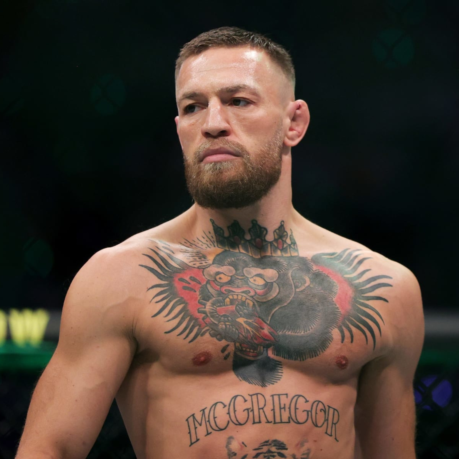 VIDEO | Is this the best Conor McGregor tattoo yet? | BJPenn.com